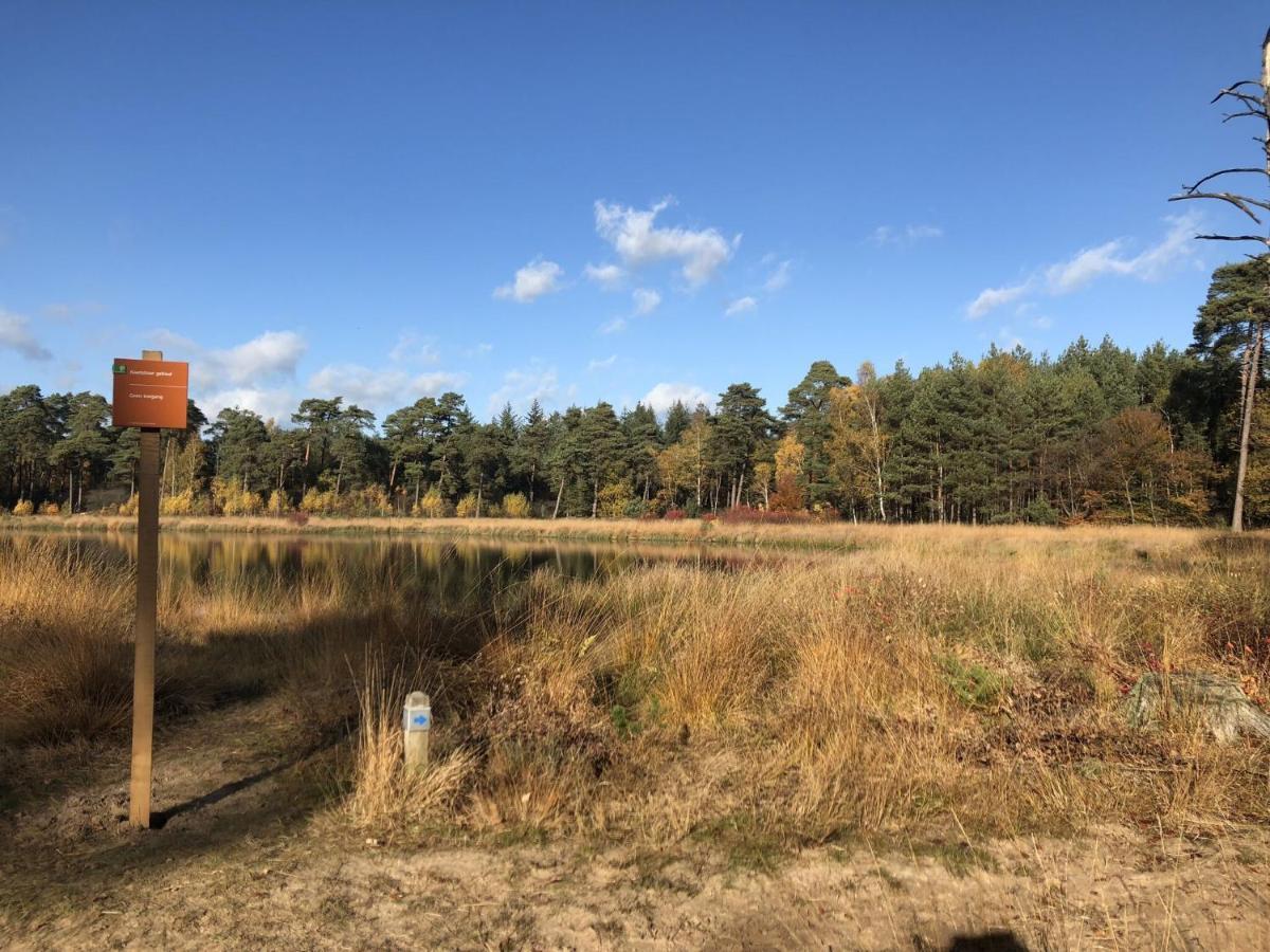 Villa On An Estate In Rheezerveen With Garden ภายนอก รูปภาพ