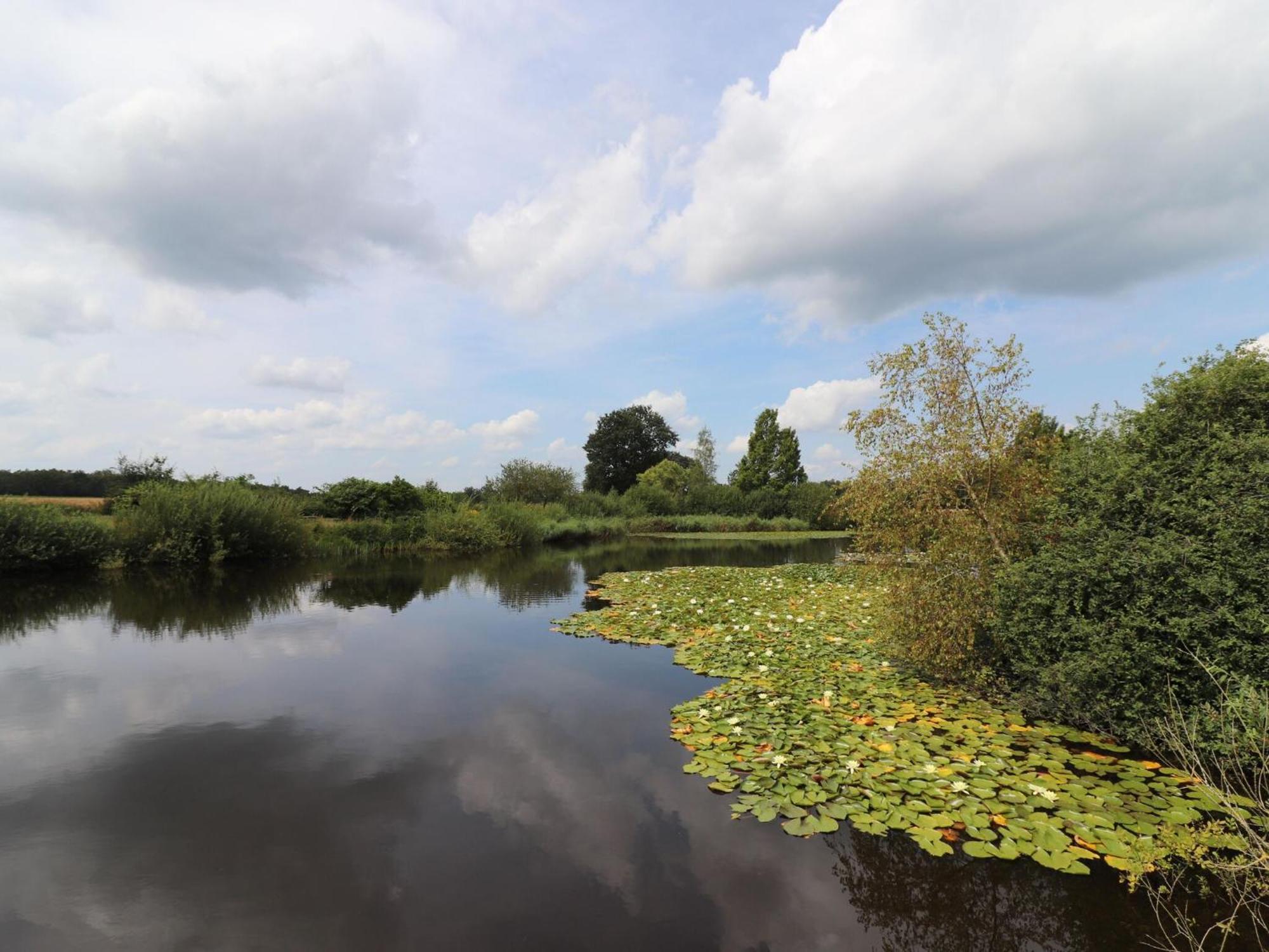 Villa On An Estate In Rheezerveen With Garden ภายนอก รูปภาพ